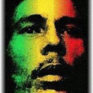 Meet your Posher, Frankie